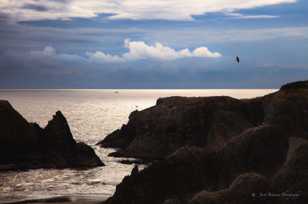 Bandon Beach-6819